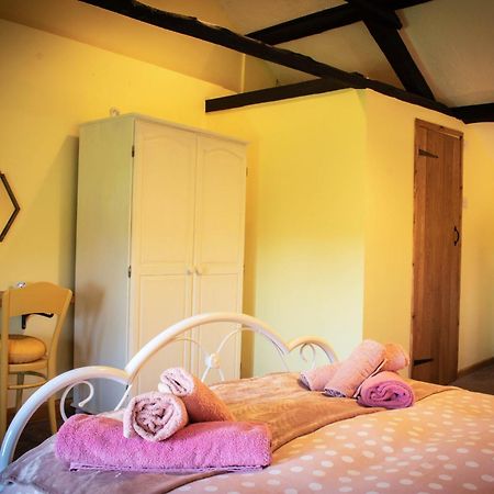 The Snickett Villa Combe Martin Rum bild